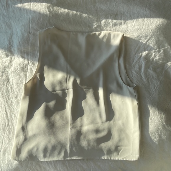 Aritzia Babaton: Sleeveless Blouse - Picture 3 of 3